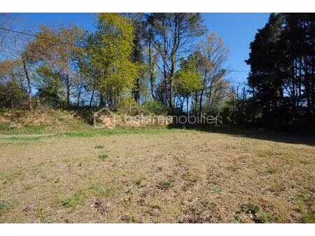 terrain commercial de 852 m² à pouillon