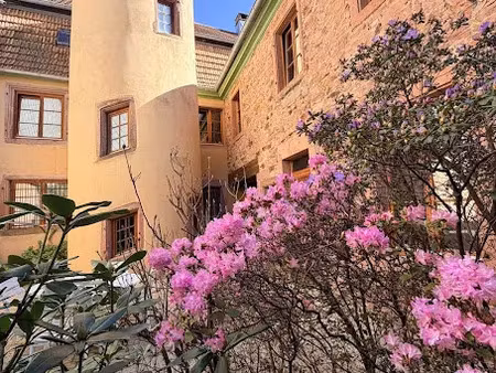 vente maison 8 pièces 225 m² à sainte-marie-aux-mines (68160)  249 000 €