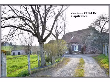 vente maison 7 pièces 206 m² à sorbier (03220)  232 000 €