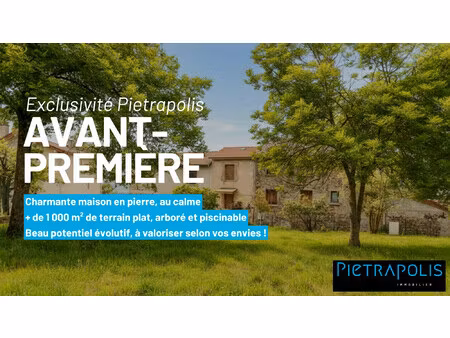aurec-sur-loire - charmante maison en pierre sur 1000 m² de ter