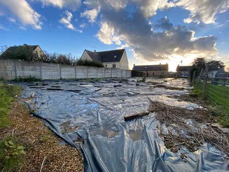 terrain 0 pièces 630 m² à vendre / acheter mondevert 35370 ? | era immobilier