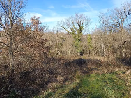 vente terrain 4526 m² mirandol-bourgnounac (81190)