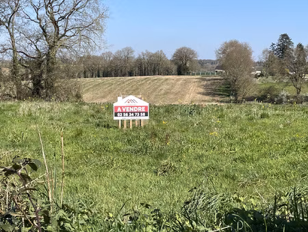 achat terrain 961m² st thuriau 56300