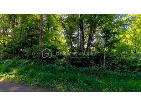 terrain de loisirs de 5 743 m² à moutiers-en-puisaye