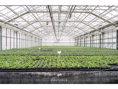 commerciële eigendom te koop in beervelde