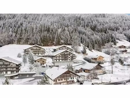 achat : appartement (74360)
