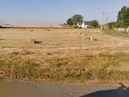 terrain constructible de 1175 m²