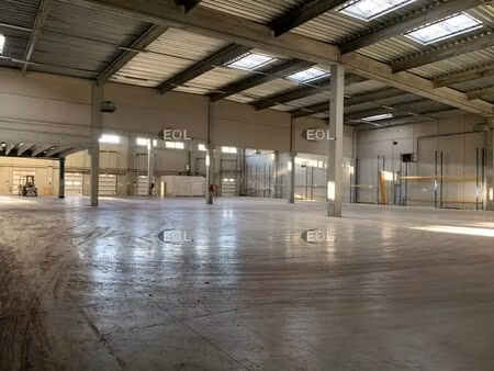 location entrepôt 4 210 m²