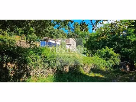 belle maison en pleine nature