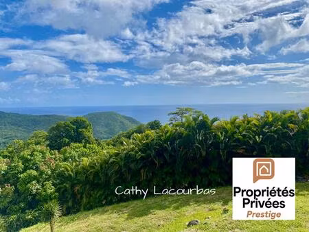 achat terrain 1 500m² pointe noire 97116