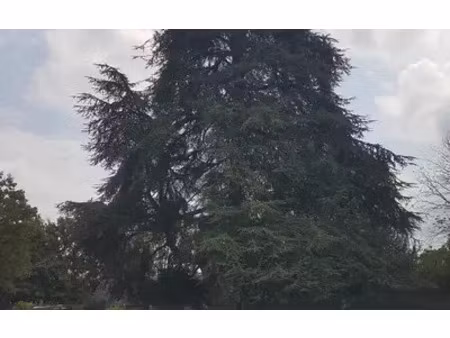 joué-lès-tours (37300)