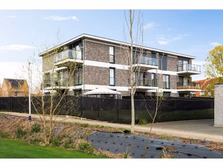 appartement te koop in hemiksem met 2 slaapkamers