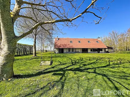 vente maison 6 pièces 132.39 m² à morbecque (59190)  383 250 €