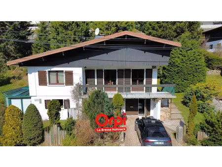 vente chalet 4 pièces 116 m² à la bresse (88250)  375 000 €