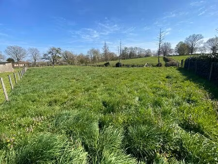 terrain saint leger les paray 983 m2