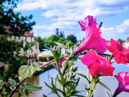 vente propriété 14 pièces