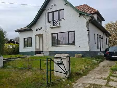 maison 5 chambres hélécine  à louer (43)