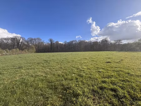 vente terrain argentan (61200)