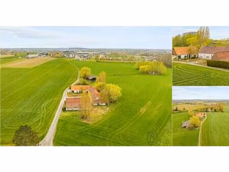 fermette à vendre à goed ter motestraat 41 anzegem (rbv63455)