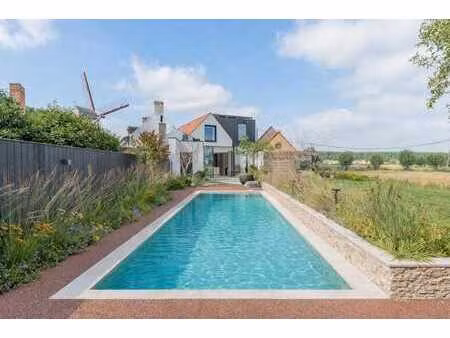 maison neuve avec piscine et vue sur le moulin à oostkerke
