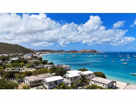 vente appartement 4 pièces 134 m² saint-martin (65360)