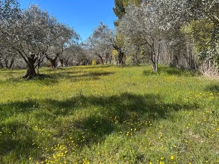 vente terrain 911 m² entrechaux (84340)