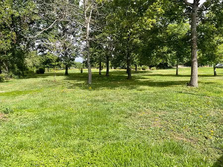 vente terrain 1980 m² chevannes (89240)