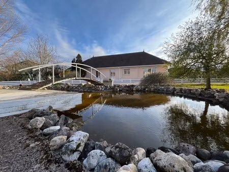 aux portes de luneville