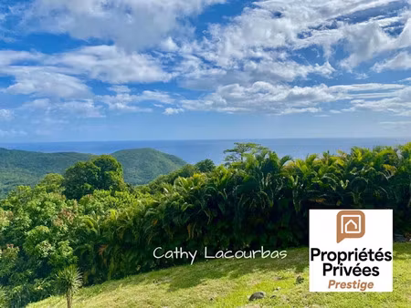 vente terrain 1500 m² à pointe noire (97116)  215 000 €