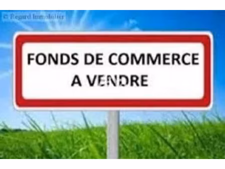 vente locaux professionnels 500 m² à la grande-motte (34280)  890 000 €
