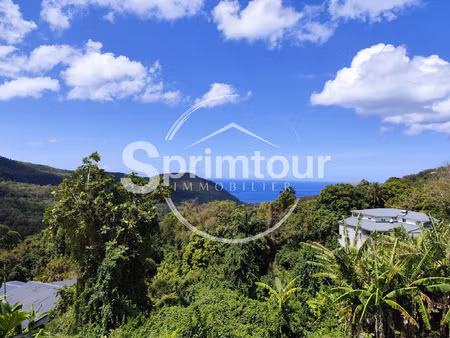 vue mer imprenable maison familiale au coeur d'acomat  poin