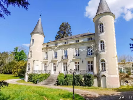 vente maison 30 pièces 1100 m² tournon-saint-pierre (37290)