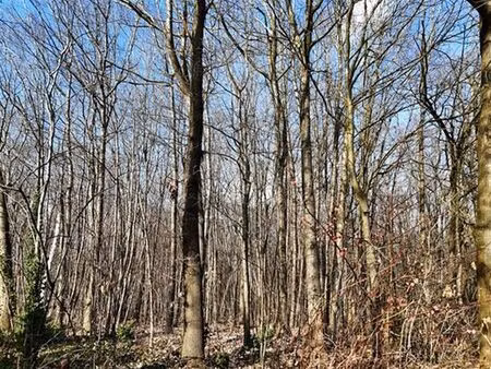 terrain à vendre à attenrode € 255.000 (lmy8b) - comptoir foncier | zimmo