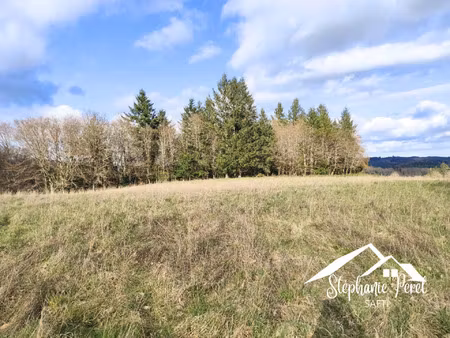 vente terrain 70000 m² meymac (19250)