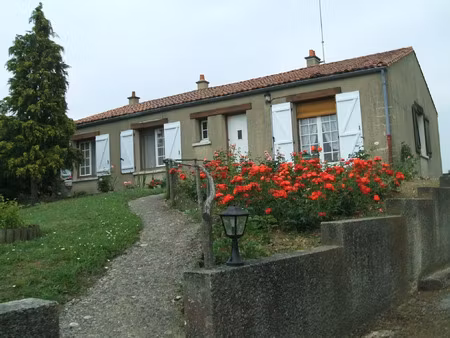 vente maison à drain (49530) : à vendre / 110m² drain