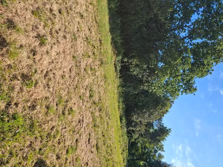 vente terrain à theix-noyalo (56450) : à vendre / theix-noyalo