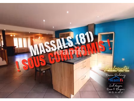 vente maison 8 pièces 96.03 m² à massals (81250)  nan €