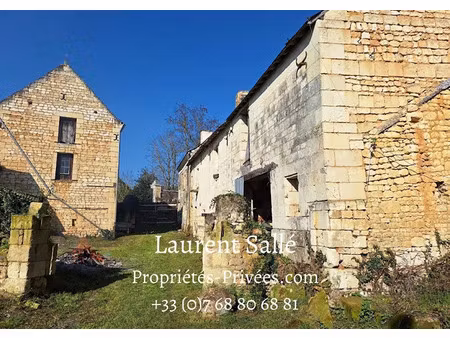 vente maison 11 pièces 315 m² à lerné (37500)  115 000 €