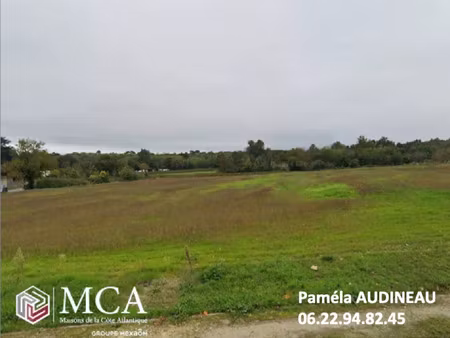 vente terrain 550 m² cérons (33720)