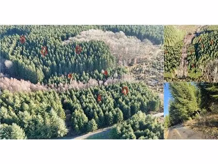 terrain à vendre à bertogne bertogne (vwd17145)