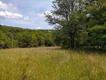 vente terrain 1987 m² luzech (46140)