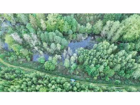 belle parcelle de foret à bouillon (dohan)