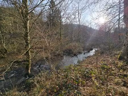 belle parcelle de foret à bouillon (dohan)