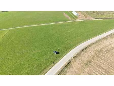 belle prairie à la roche en ardenne - hives