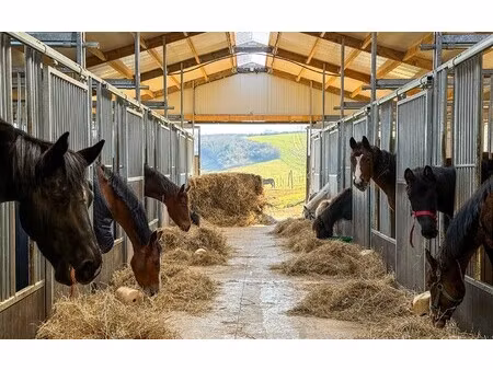 exploitation agricole à vendre à juville