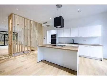 magnifique duplex haut de gamme entièrement rénové