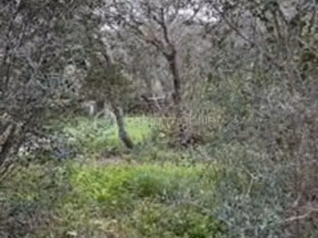 terrain 1 675 m² bonifacio