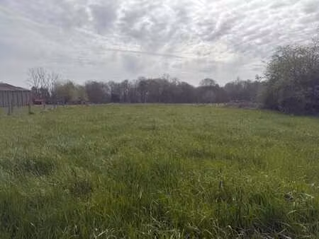 belle opportunité! vaste terrain dans une zone résidentielle