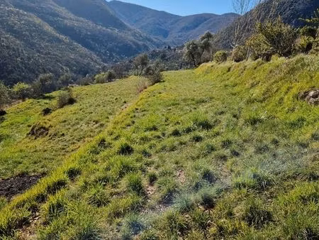 vente terrain plat sospel