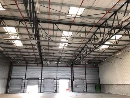 local logistique 556 m²